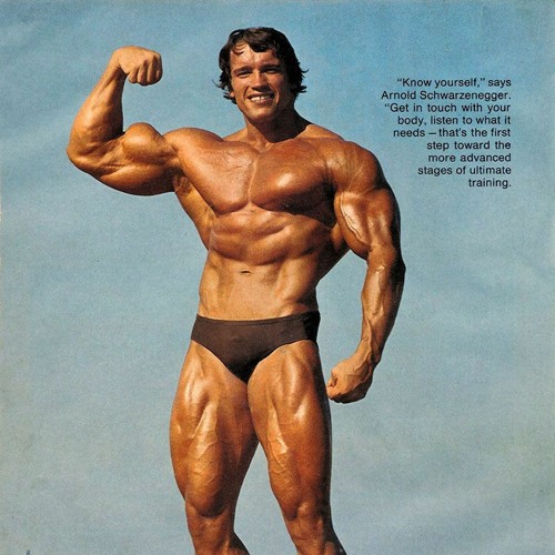 i smoke my stogie anywhere i want | Arnold x Doomsday
