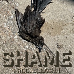 SHAME prod. Bleachh