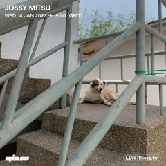 Jossy Mitsu - 18 January 2023