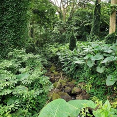 The Green Realm (Theta Waves)