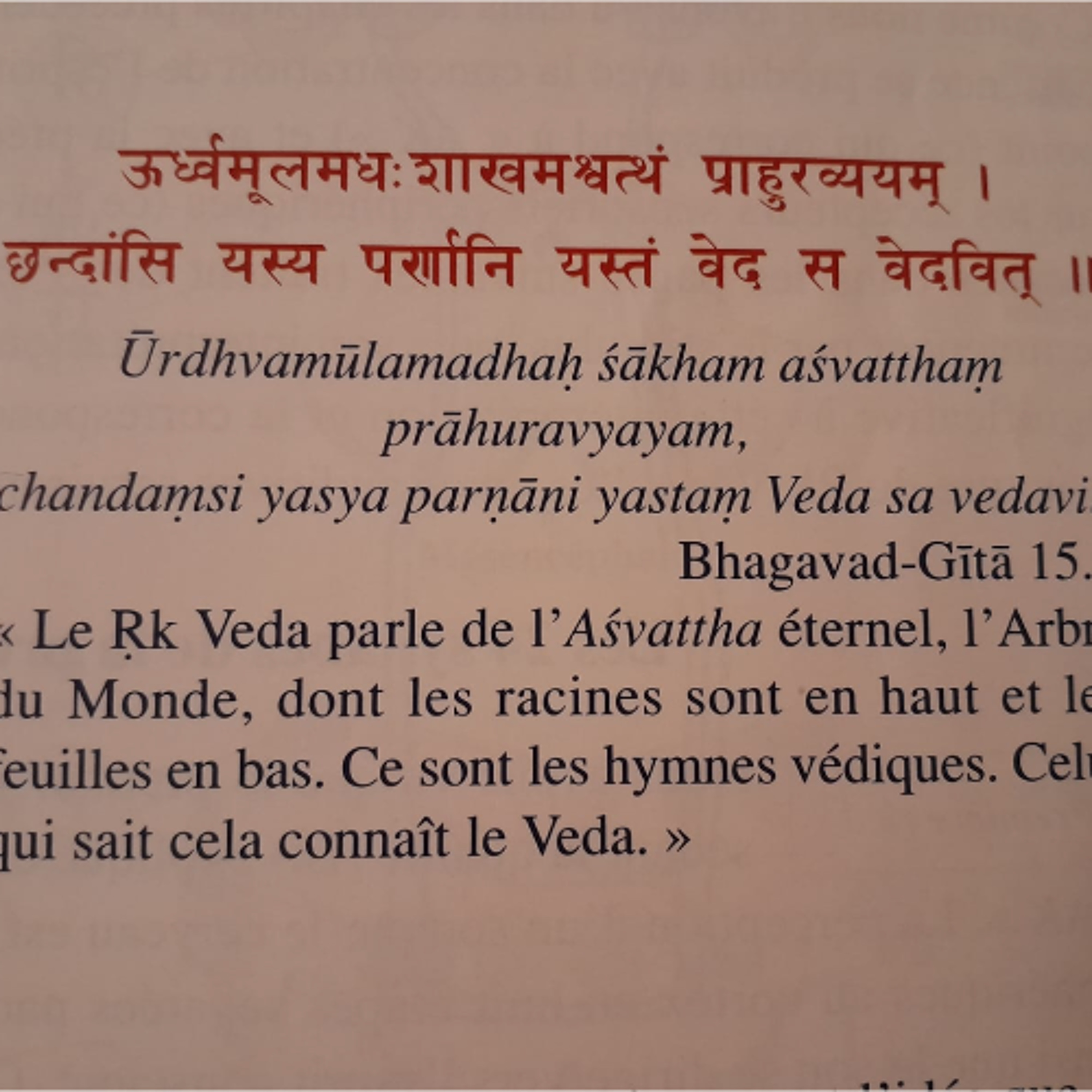 Radio Gandharva Gana