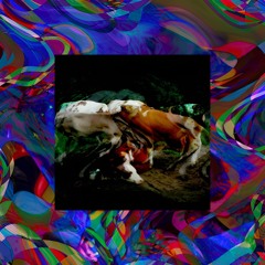 Half Samadhi - 3rd Eye Stye (Cowbell Mix)