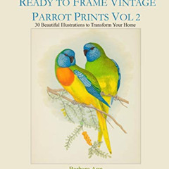 Get KINDLE √ Wall Art Made Easy: Ready to Frame Vintage Parrot Prints Vol 2: 30 Beaut
