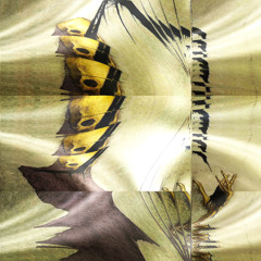 Drearty's wing devoter