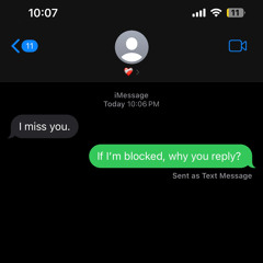 Kaylee Ameri - Miss Me