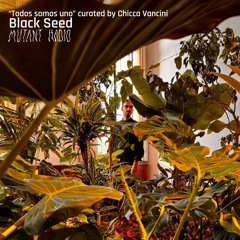 “Todos somos uno” curated by Chicca Vancini  w/ Black Seed [27.11.24]