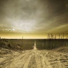Chris D.Sign - Dark Skies