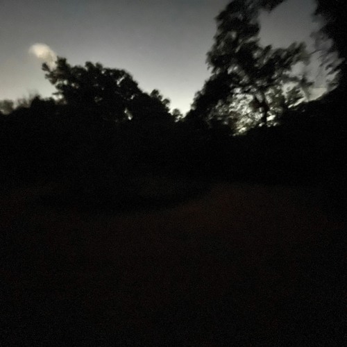 Tal's song [prod. South Harbor Music]