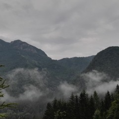 the train is heading east