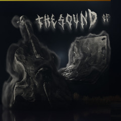 Thora and Joakim - The Sound of Double Bass & Computer