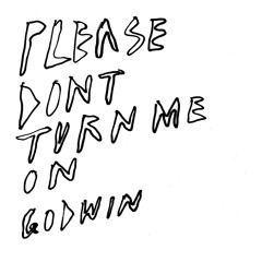 Please Don't Turn Me On (Live Godwin Remix)
