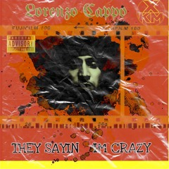 THEY SAYIN IM CRAZY