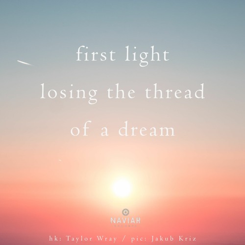 haiku #451: first light / losing the thread / of a dream