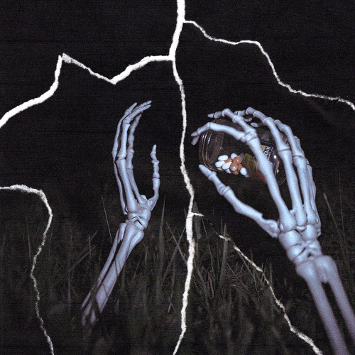 Split w/ Whxami
