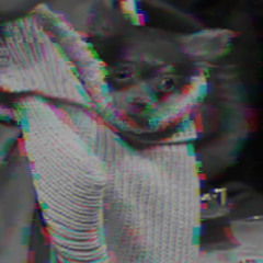 Lil Dog Remix