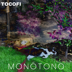 Monótono