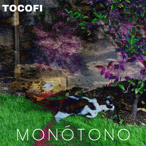 Monótono