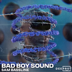 Sam Bassline - Bad Boy Sound