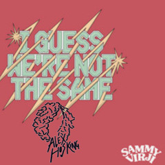 Sammy Virji - I Guess We're Not The Same (Alex Hosking Remix)