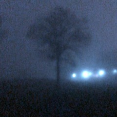 The Morning Dove That Sits At My Window In The Mourning