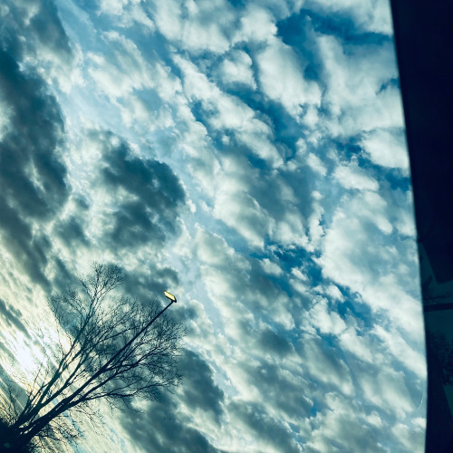 If Not For You - George Harrison/Bob Dylan (Bed Radio Cover)