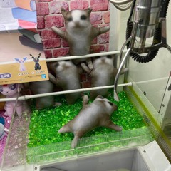 Lucid Death Battle w/charred lungz