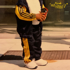 BONUS TRACK : FASTER FREESTYLE BY DANY ROASTER