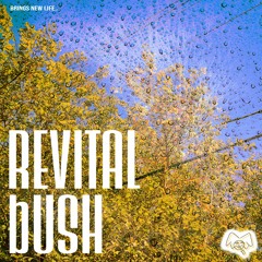 🌳 Revital Bush 🌳