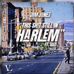 Jim Jones - This Shit Still in Harlem (Mix).m4a