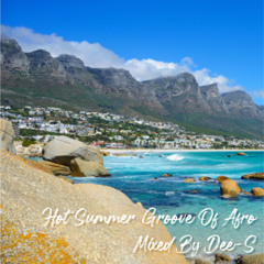 Hot Summer Groove Of Afro Mixed By Dee-S
