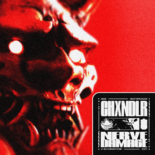 CHXNDLR - NERVE DAMAGE