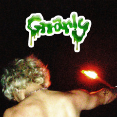 GNARLY X DONTSTOPME!