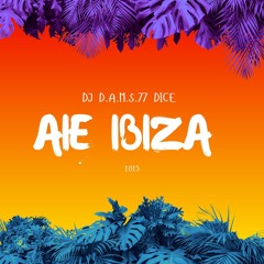 DJ D.A.M.S.77 DICE Aie IBIZA 2025