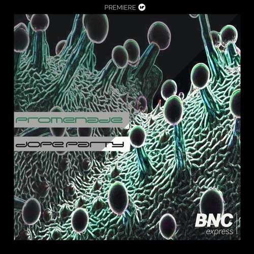 PREMIERE: Promenade - Can't You See (BNC Express)
