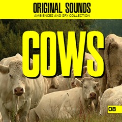 OS 08 COWS DEMO