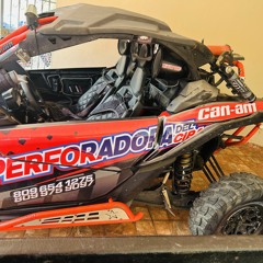 Can am x3 buggy