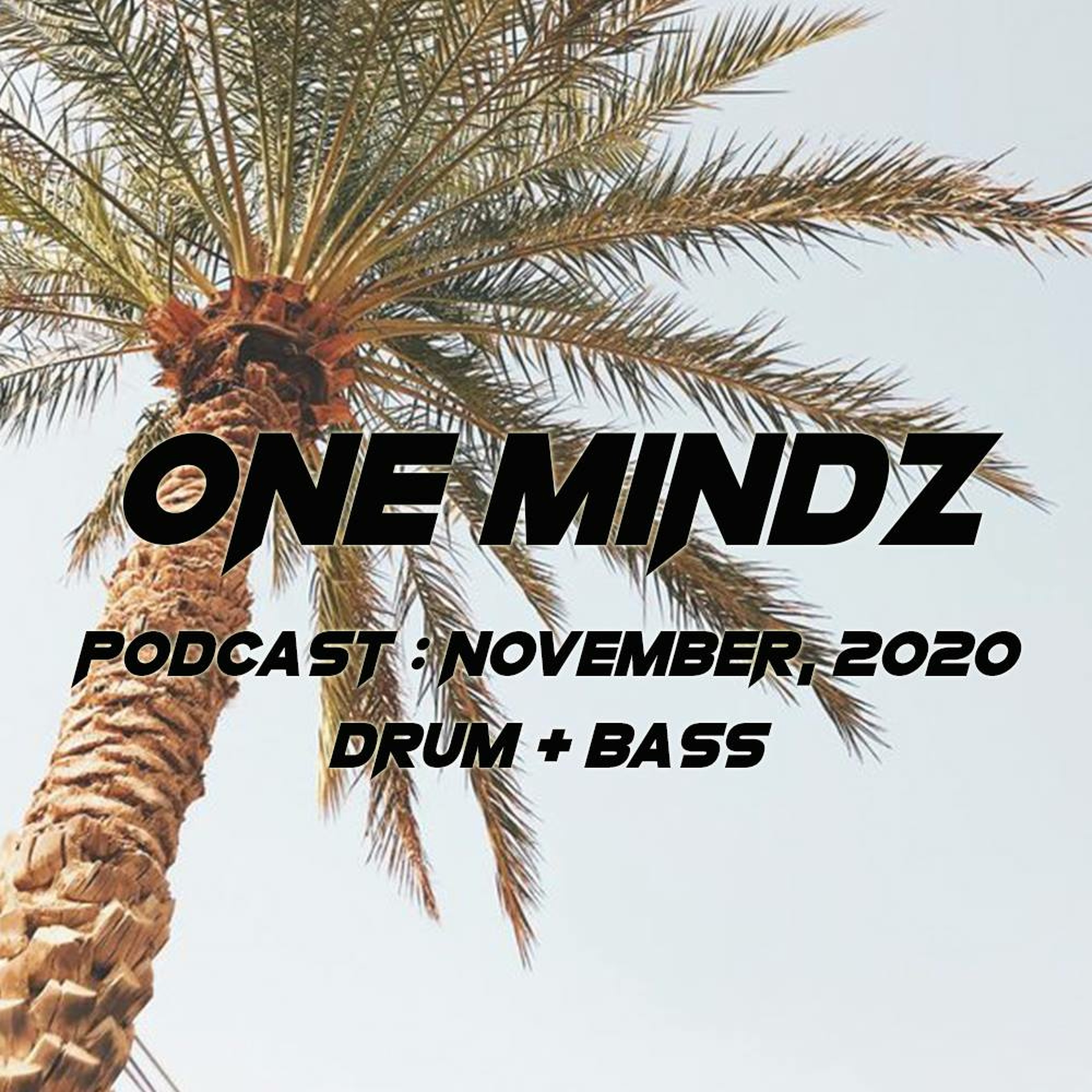 One Mindz Podcast (Drum & Bass)