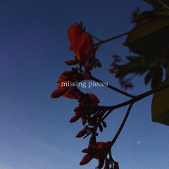 missing pieces (prod. marcdoesmusic)