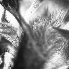 TONUS X A-SUN AMISSA - Modulation Grid II (Blended Edit)
