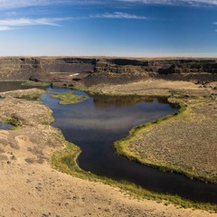 Knoxville - saxophones (12) only