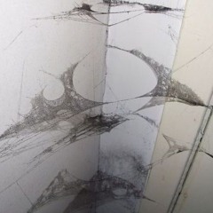 spider w/ rosesleeves