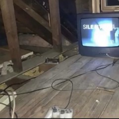 living in a shithole (snippet) - reincoltation