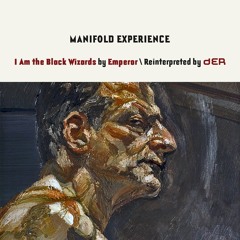 I Am the Black Wizards by Emperor \ Reinterpreted by dER
