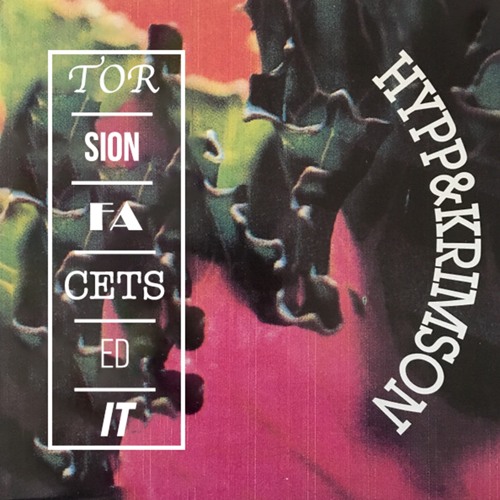 Hypp & Krimson - Torsion (Facets Edit)