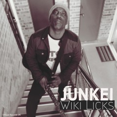 Junkie - Wikki Licks