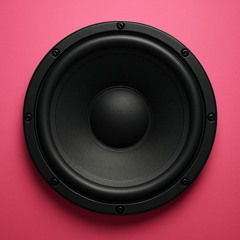 EXCUSE ME, BUT THE BASS HAS TOO MUCH POWER
