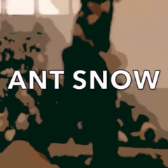The Blacklight Special - Ant Snow (2025)