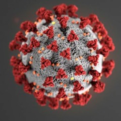 2020 Coronavirus Year