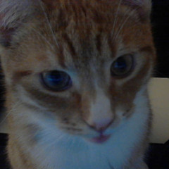 verloren demo (b3yers)