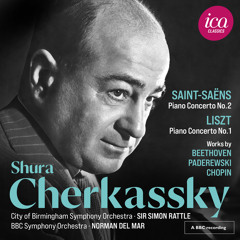 Piano Concerto No. 2 in G Minor Op. 22: II. Allegro scherzando